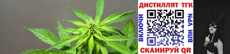 ТГК THC oil  сколько стоит  Чапаевск 