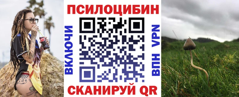 купить закладку  Чапаевск  Псилоцибиновые грибы ЛСД 